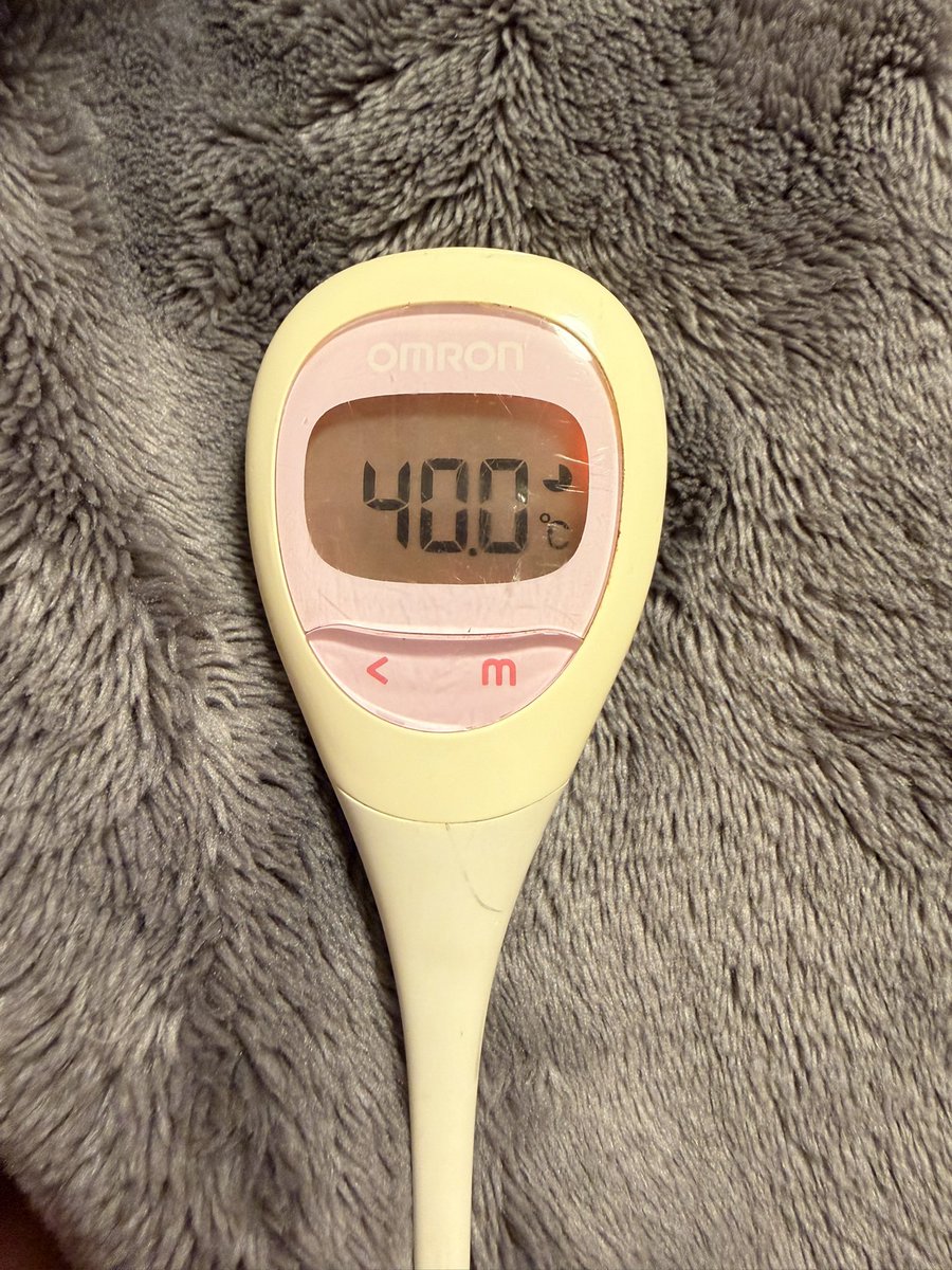 ゆーちゃん 🐕 ͗ ͗ tweet media