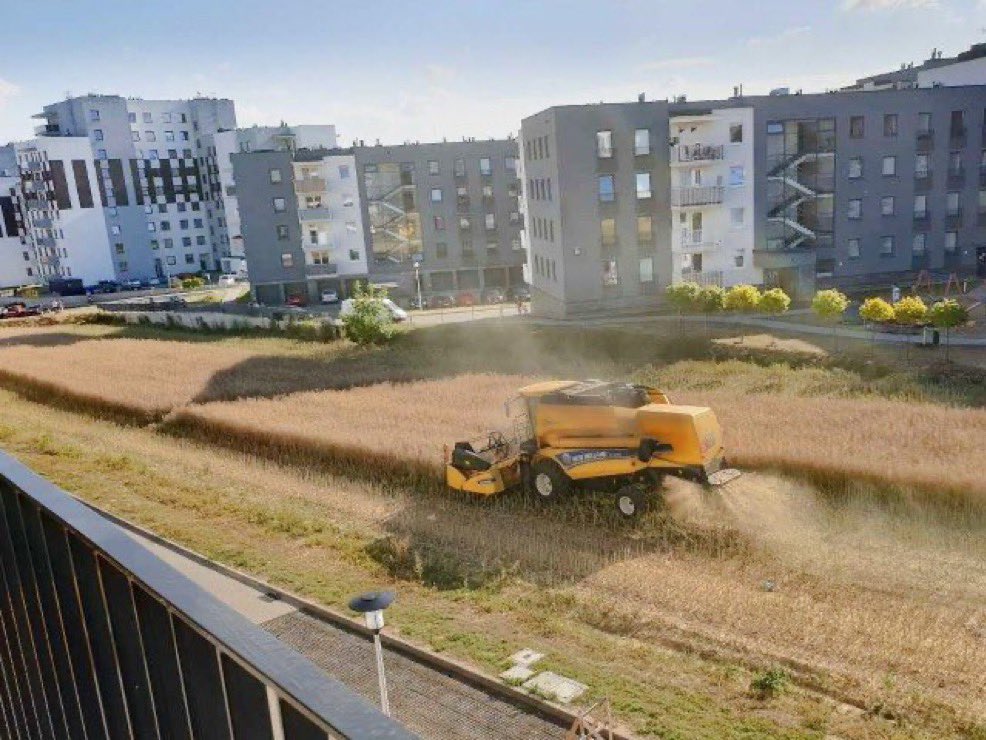 🌐 ᴛʜᴇᴘᴏʟᴀɴᴅɴᴇᴡs 🌐 tweet media