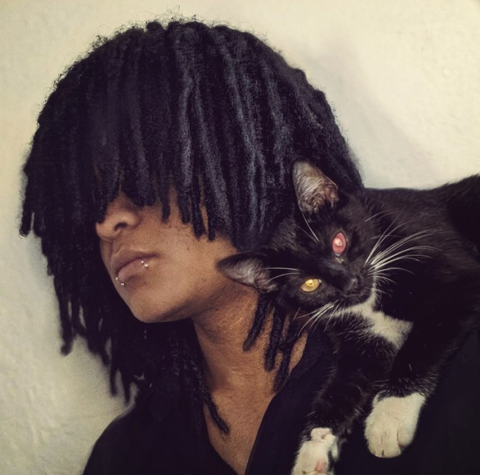 ͏͏ ͏͏edan ͏͏ ͏͏ tweet media