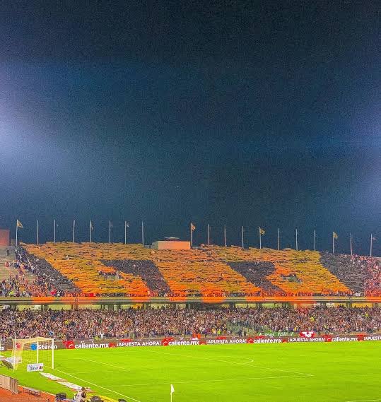 Fan Puma ⍽ tweet media