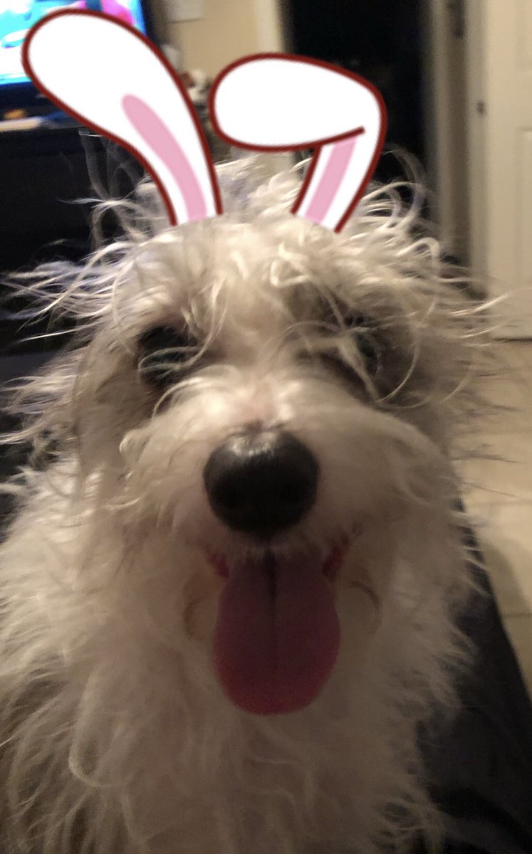 Dakota Rayne tweet media