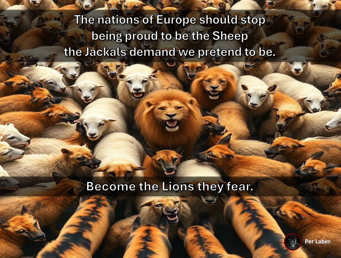 Per Laber tweet media