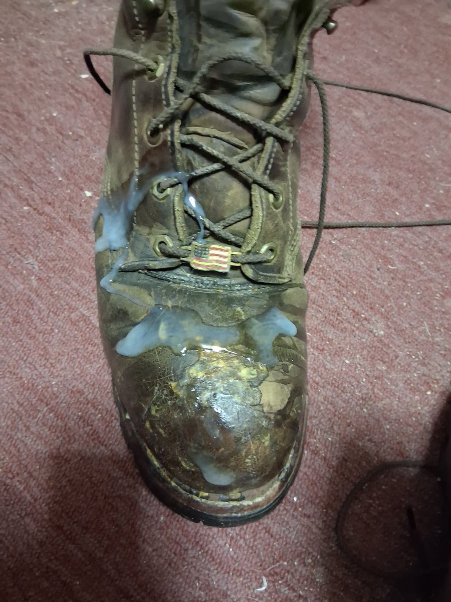 Loggerbootguy802 tweet media