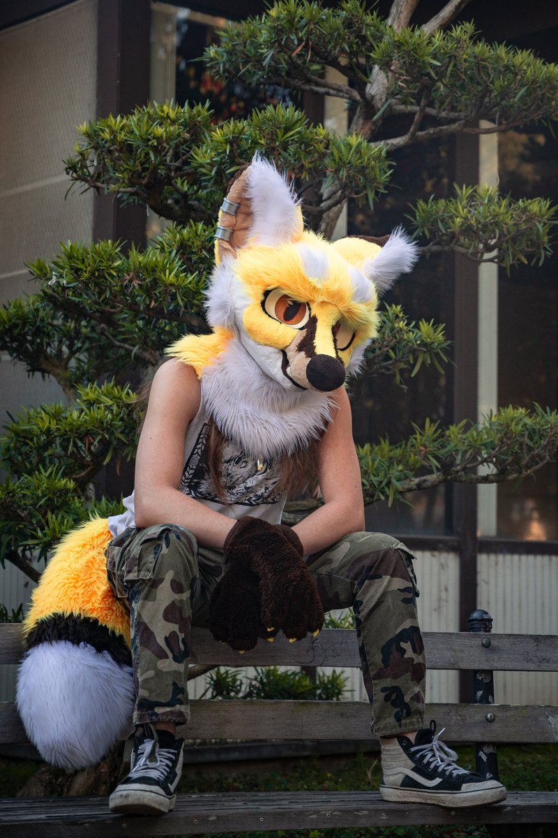 Kepler Foxes 🔜LVFC tweet media