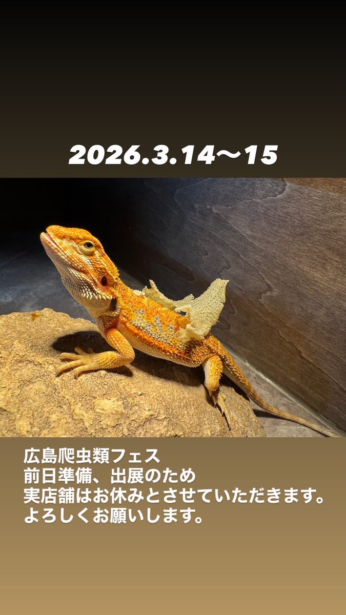 GUNGNIR ANIMALS tweet media