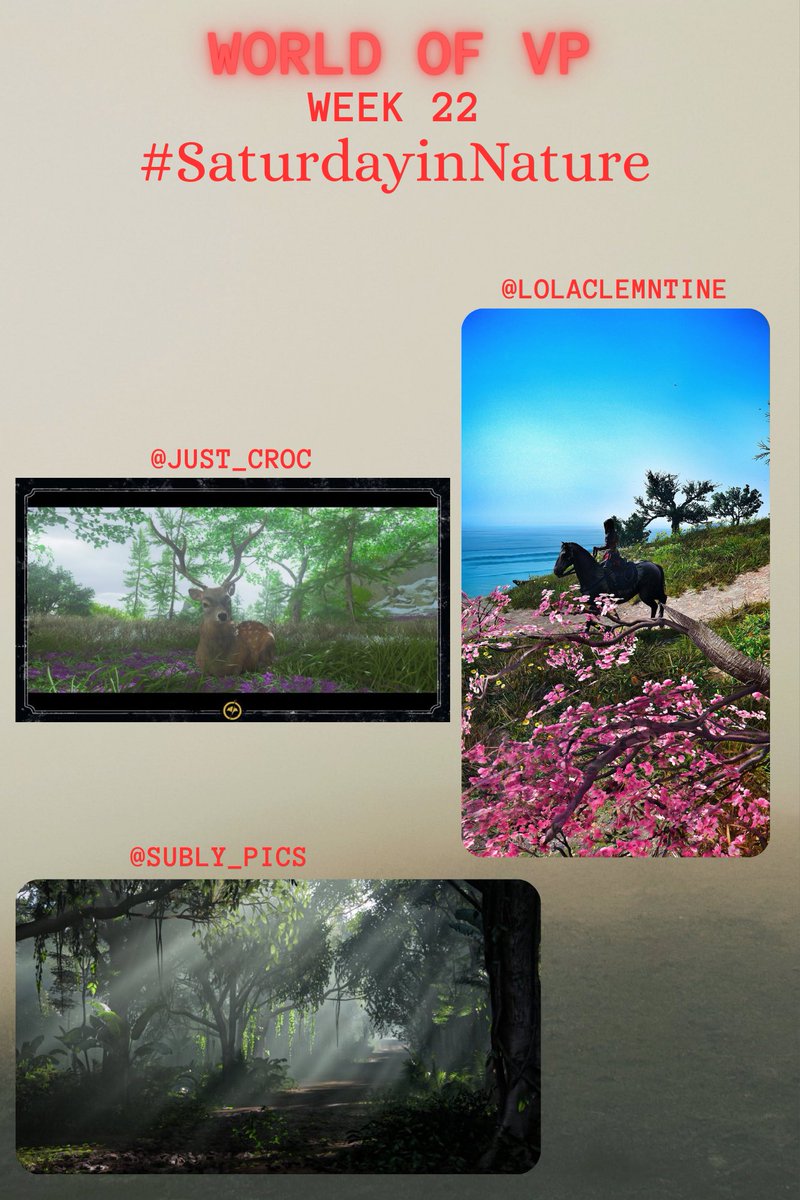 World of VP tweet media