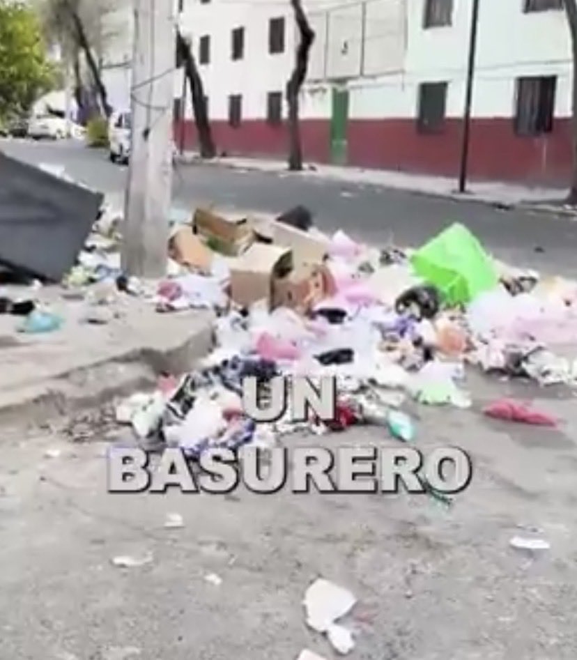 karywarro's tweet photo. @arturoavila_mx @AlessandraRdlv @Claudiashein @LuisaAlcalde @rosaicela_ El cerdo tirando basura en tu Cerovoto Jeta! 
-Ni para hacer montajes sirves “Nunca la recogen”. Si así fuese, hubiese MONTAÑA de basura. 

NO INSULTES MI INTELIGENCIA

-Los Chairos que te “acompañaron” SON los CERDOS q tiraron ESA basura HOY.

@AlessandraRdlv https://t.co/vkxym7seHu