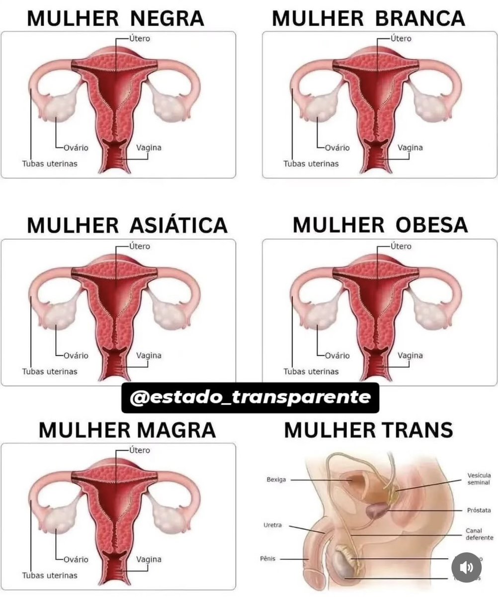 Joaquim Teixeirado tweet media