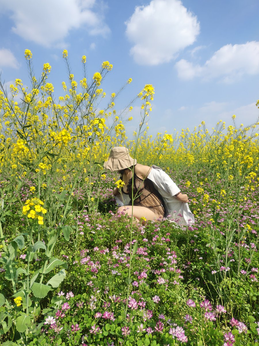 也是赶上最后的油菜花了
