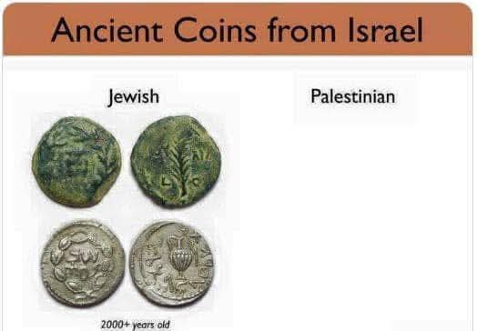 Liza Rosen tweet media