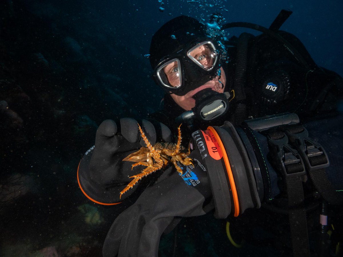 Desert Research Institute tweet media