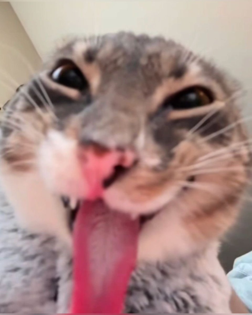 blu_ecos's tweet image. Blu —&amp;gt; twitch streaming debut coming so so so sooner than you think  ~

** what to expect ? **

cozy gameplay !! 🫧
sit down and chat crafting streams 🎀
cosplay gaming sessions 👾
me ~ losing my mind always ! 

someone give me tips ~ 

#twitchtv #helpme #notagamer