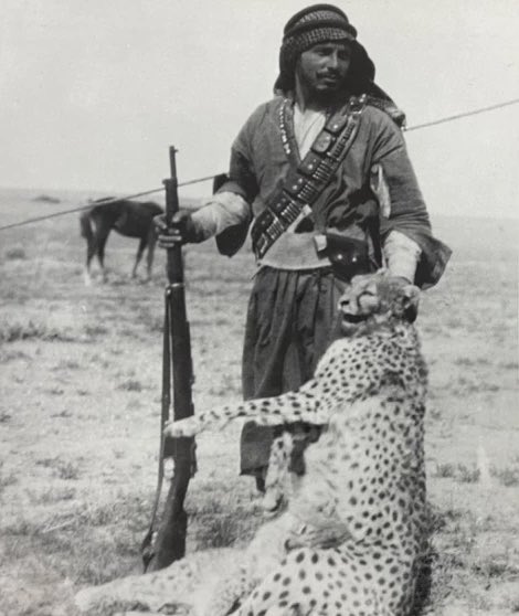 ماجد بن مهل tweet media