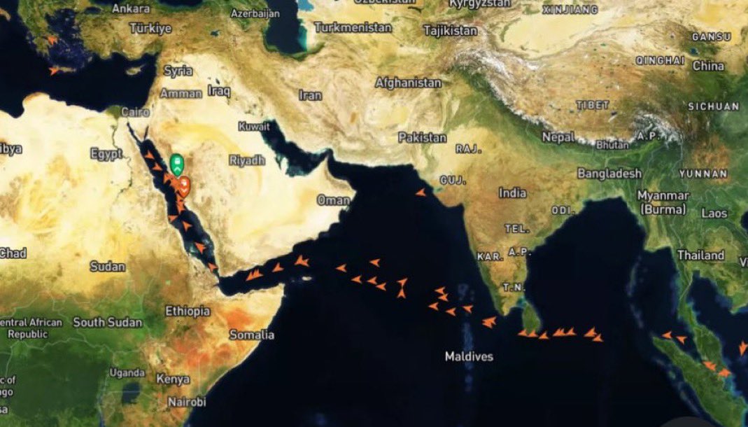 كولومبوس 🐪 tweet media