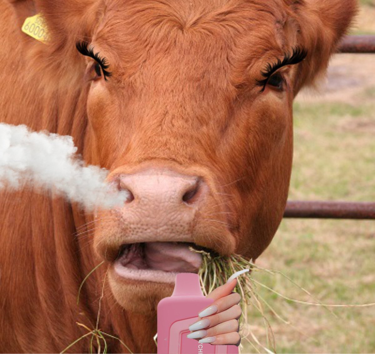 Cassie (is full of cans 😔) Frey tweet media