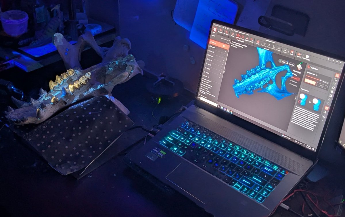 Denver Fowler Ph.D tweet media