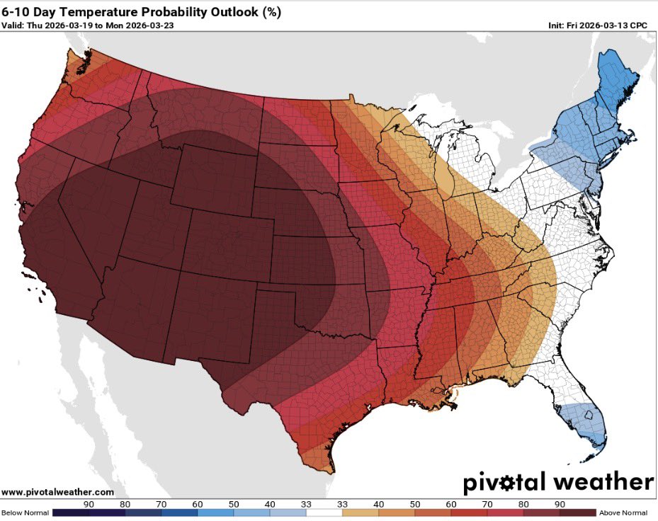 Brody Cowing tweet media