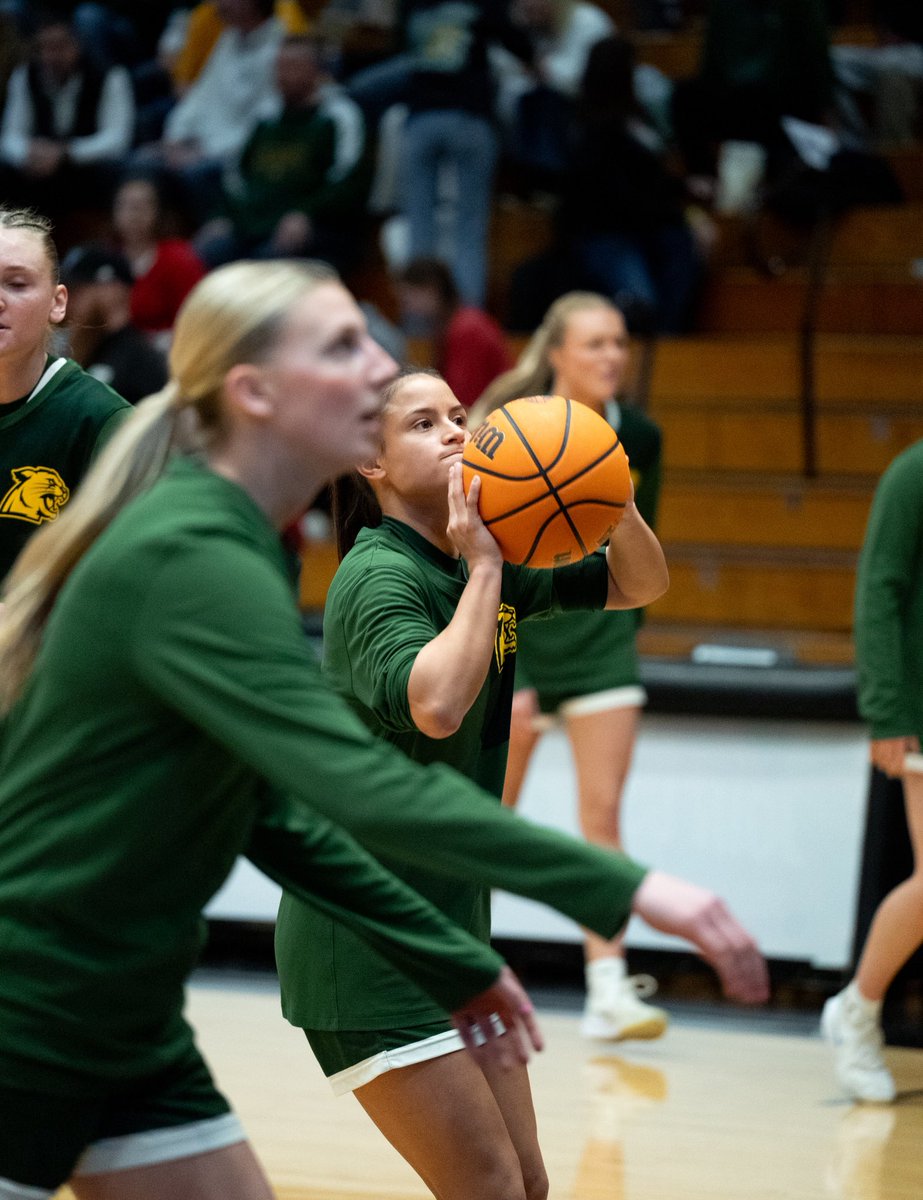 NMU Women's Basketball tweet media