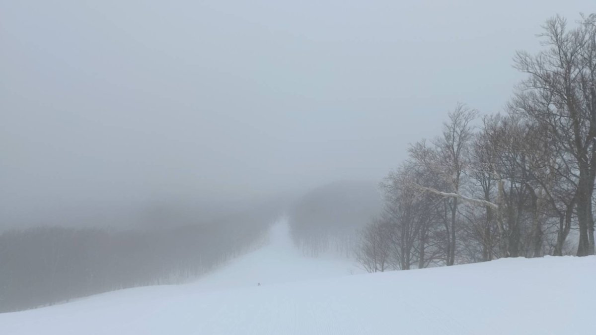 青森スプリング・スキーリゾート tweet media