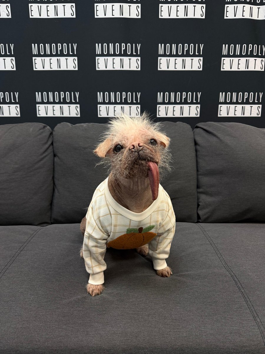 Comic Con Scotland Aberdeen tweet media