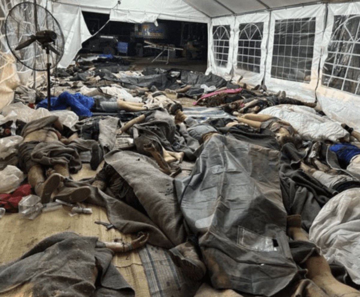 Michael Wolf tweet media