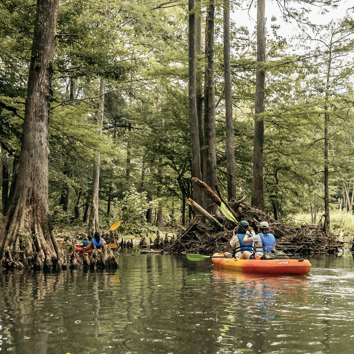 Arkansas State Parks tweet media