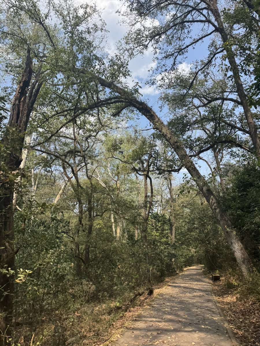 Así Es Monterrey tweet media