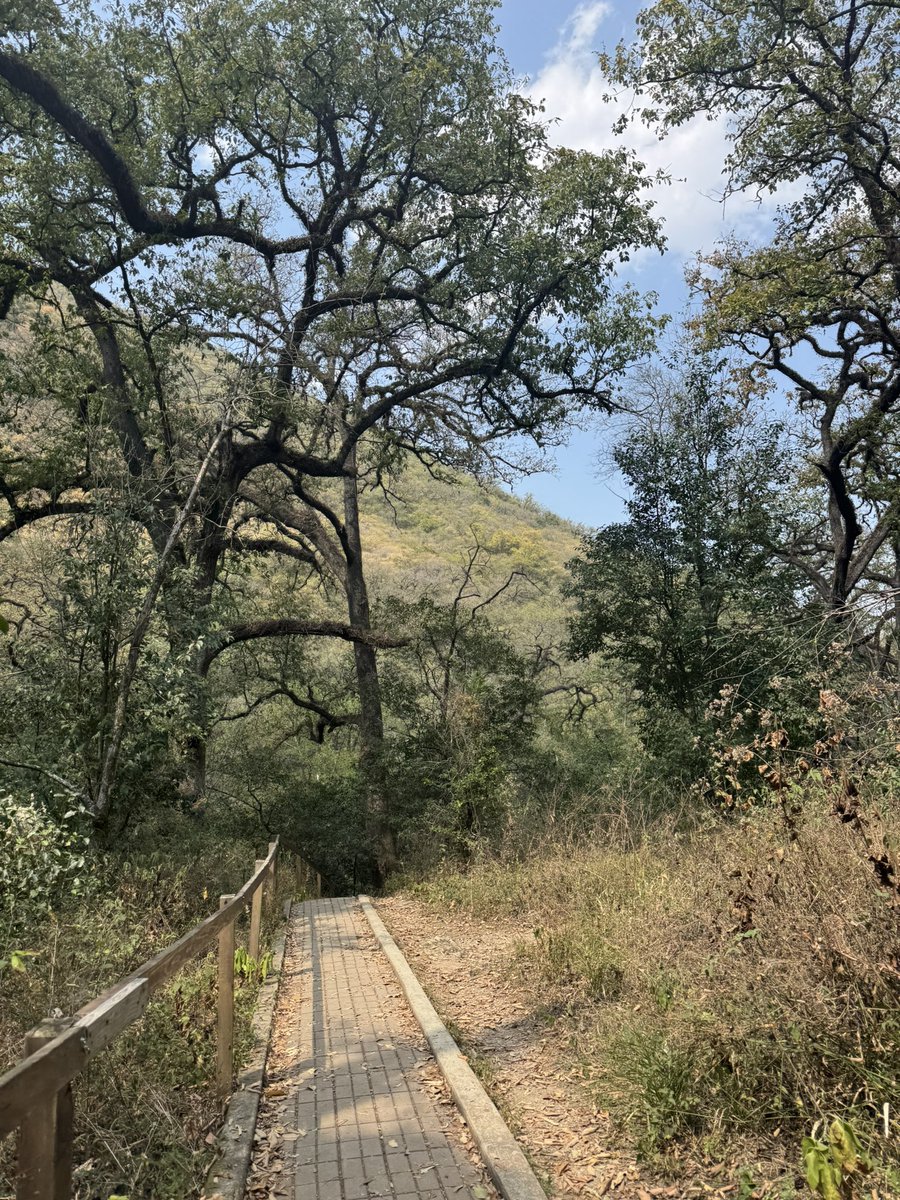 Así Es Monterrey tweet media