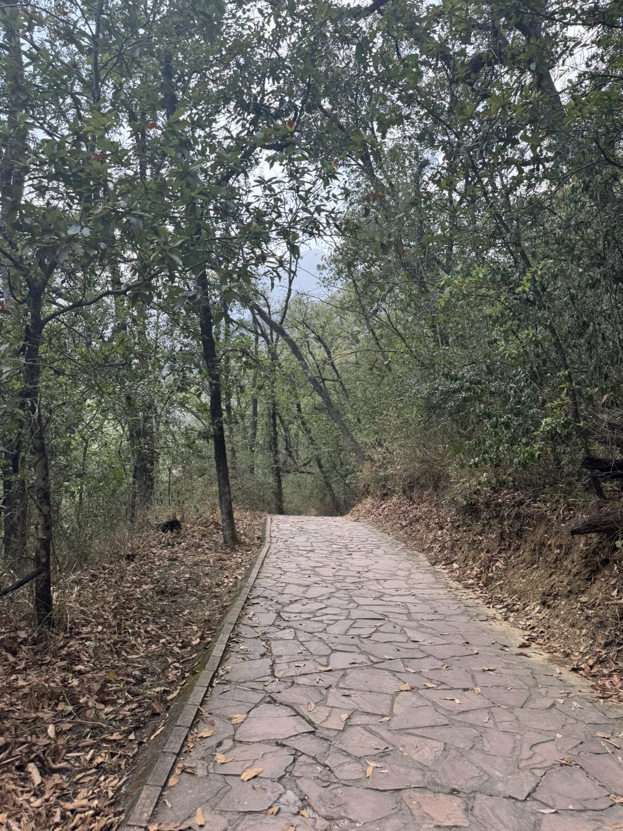 Así Es Monterrey tweet media