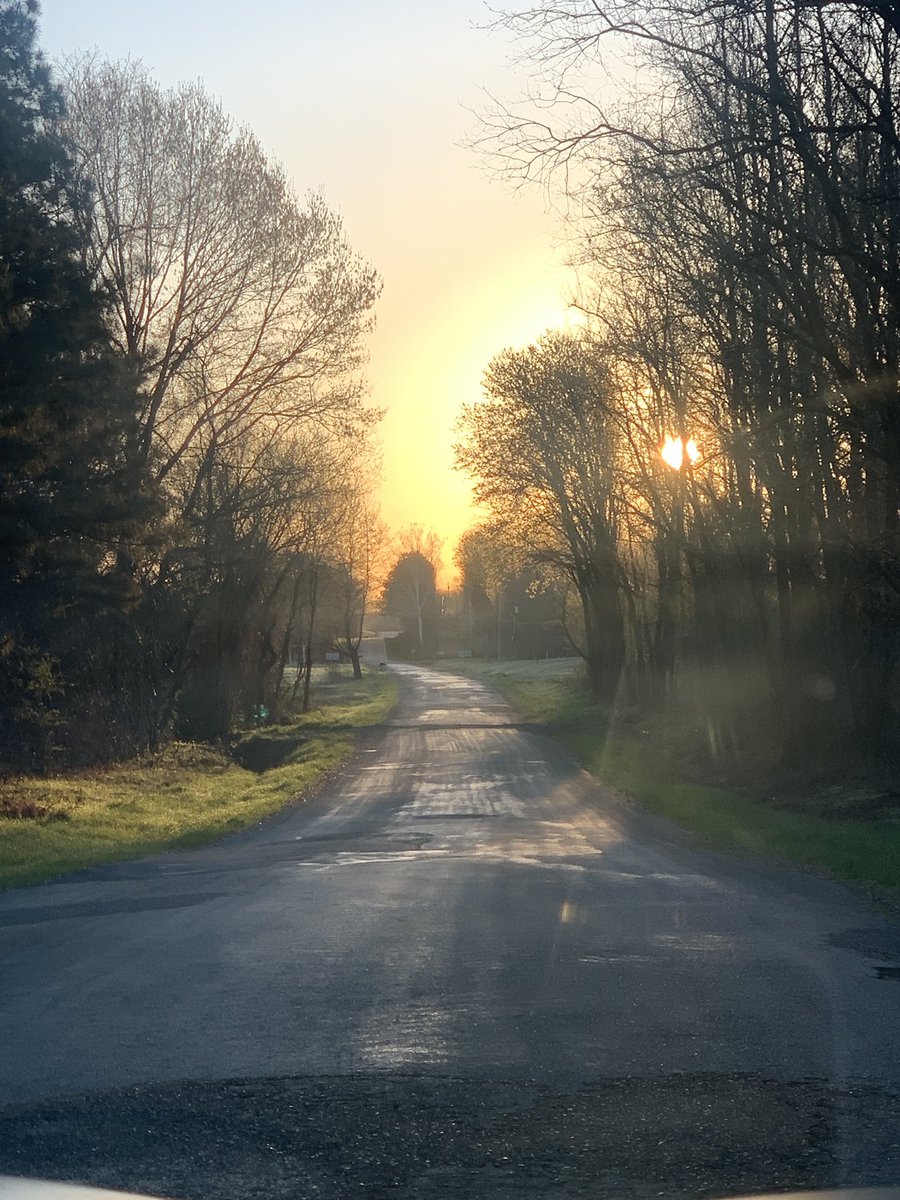 JunesiPhone tweet media