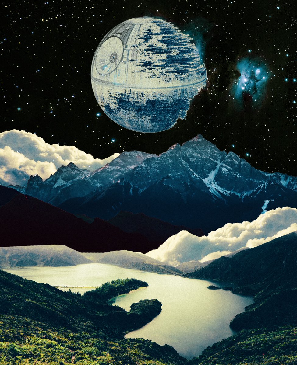 Anatoly Kubbe tweet media