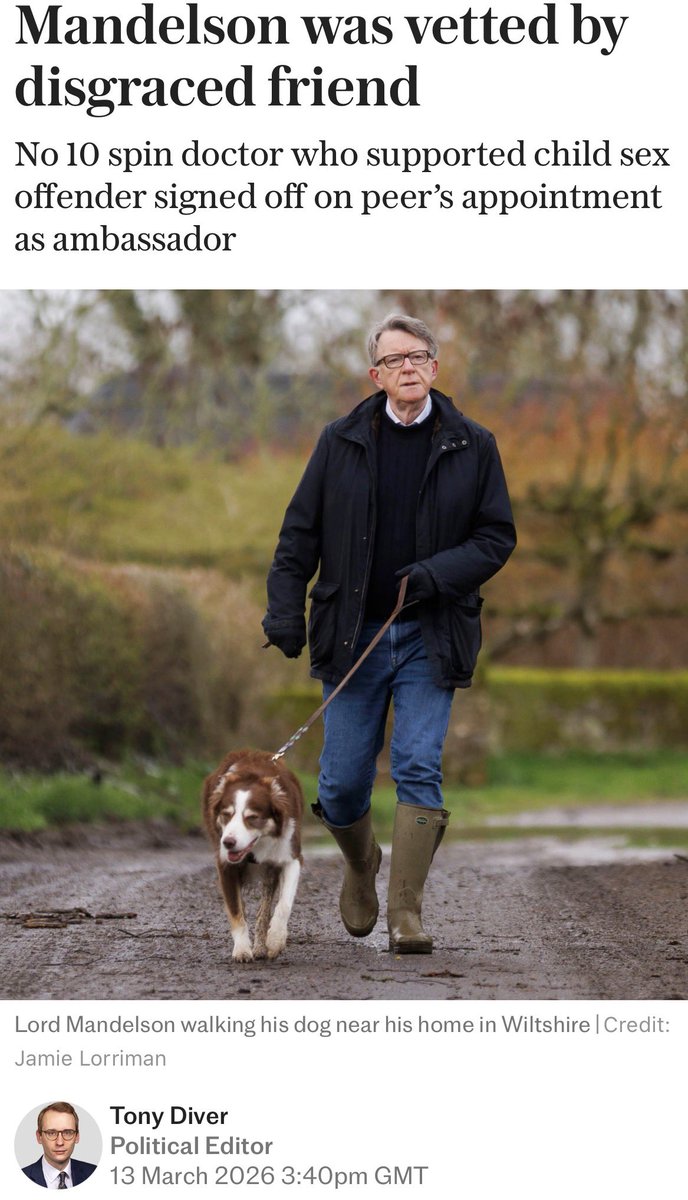 Wolf 🐺 tweet media