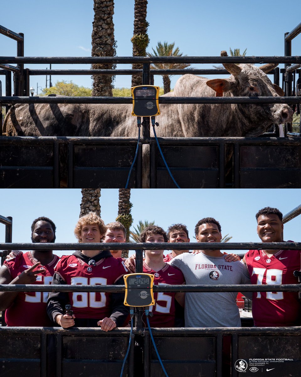 FSU Football tweet media