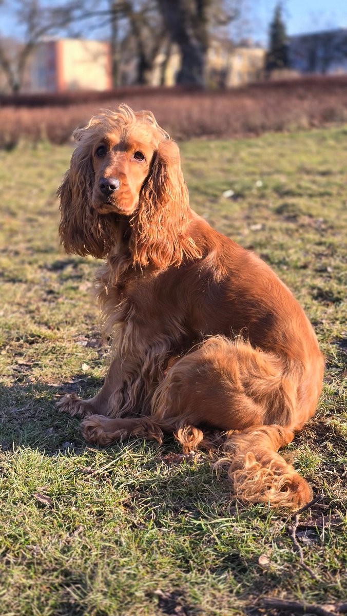 ExciterXXX tweet media