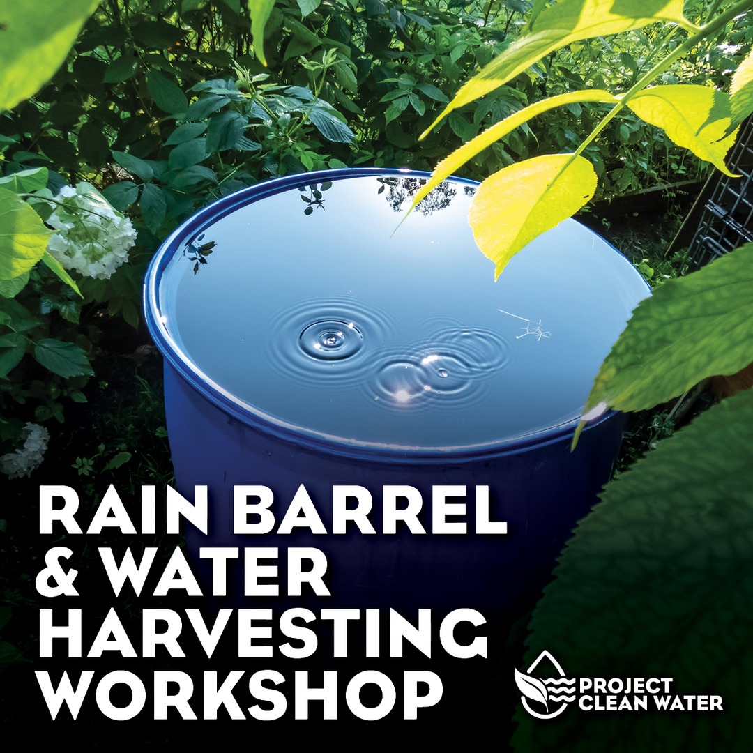 Project Clean Water tweet media