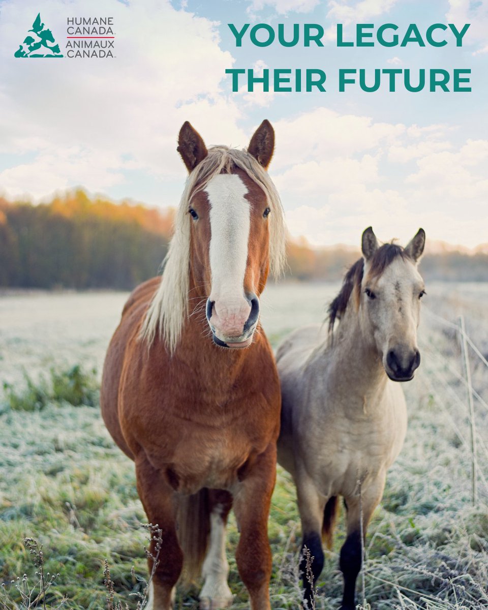 Humane Canada tweet media