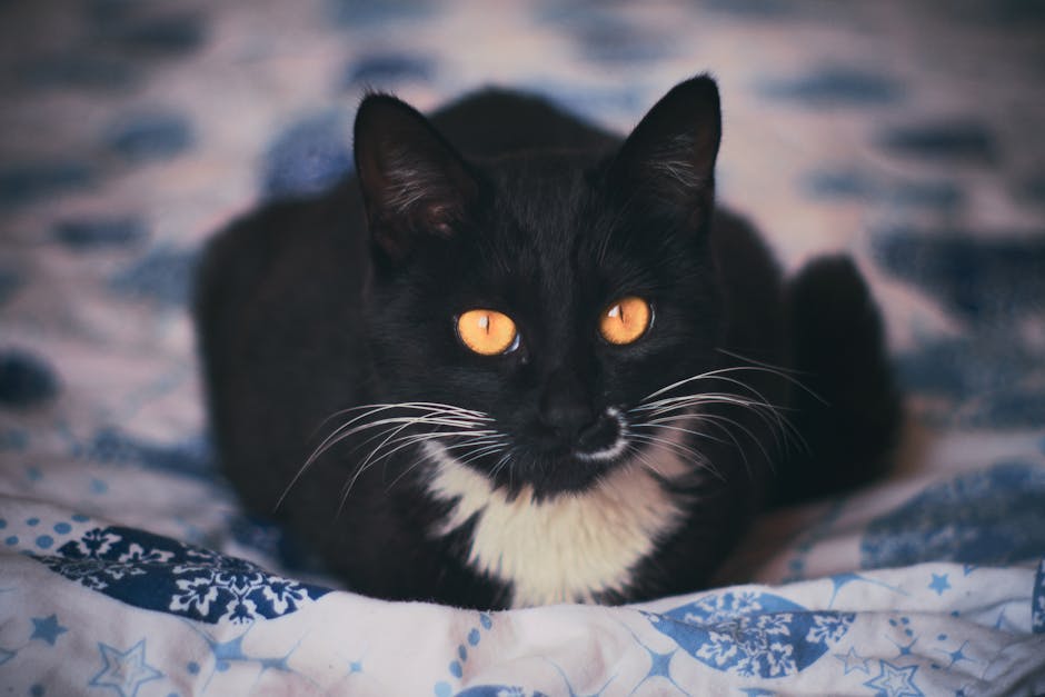 LearningForwardTexas tweet media