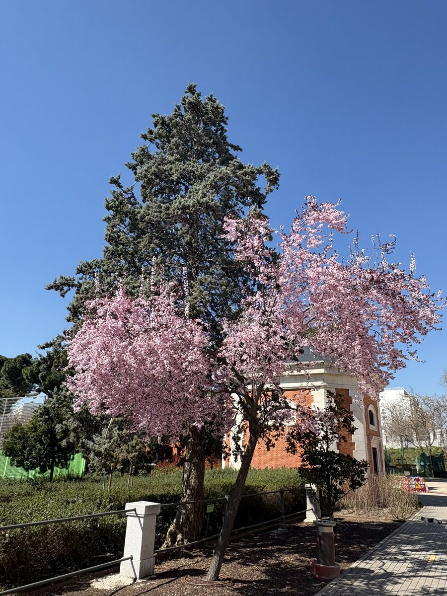 ALASTAIR CAMPBELL tweet media