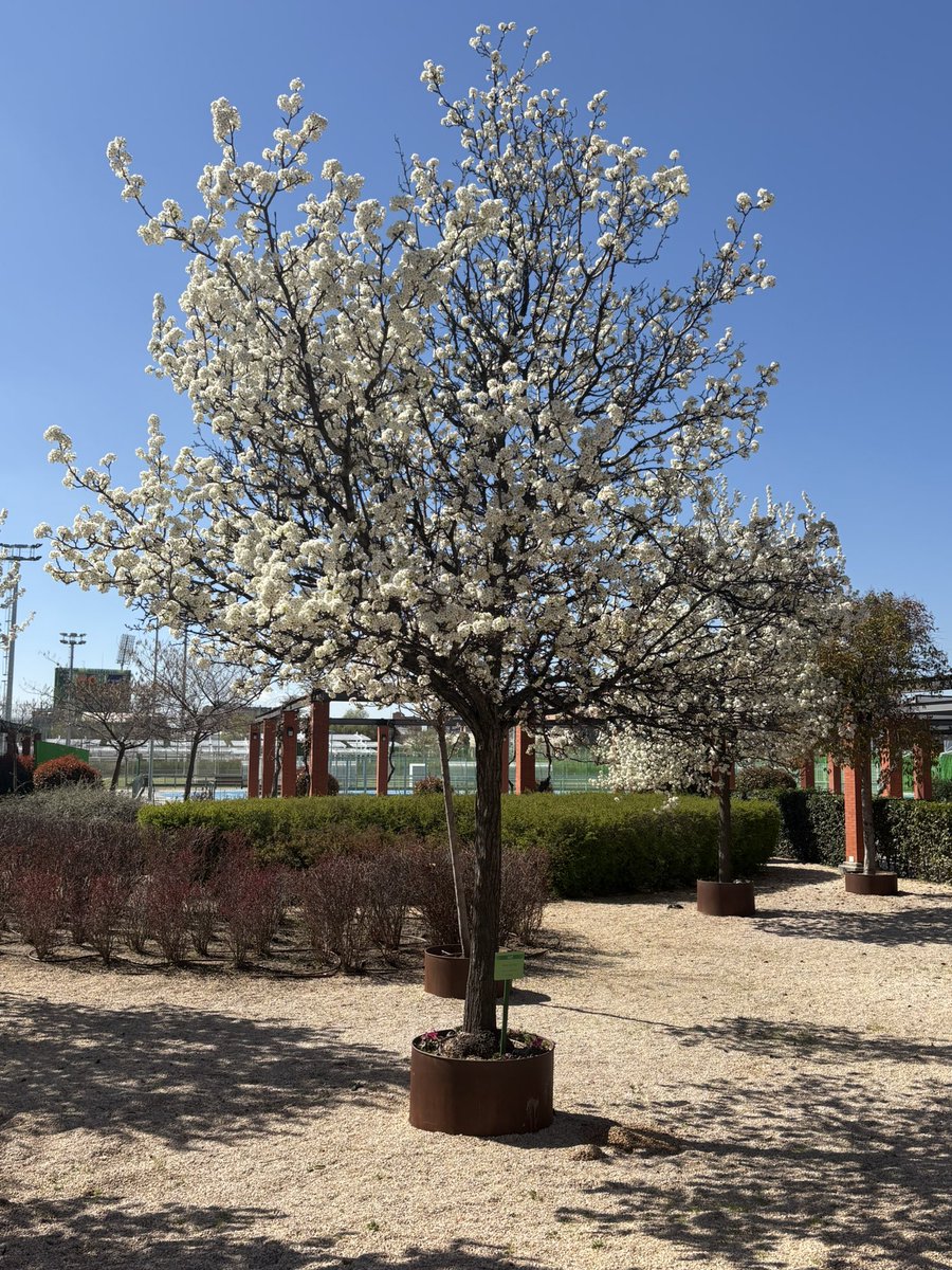 ALASTAIR CAMPBELL tweet media