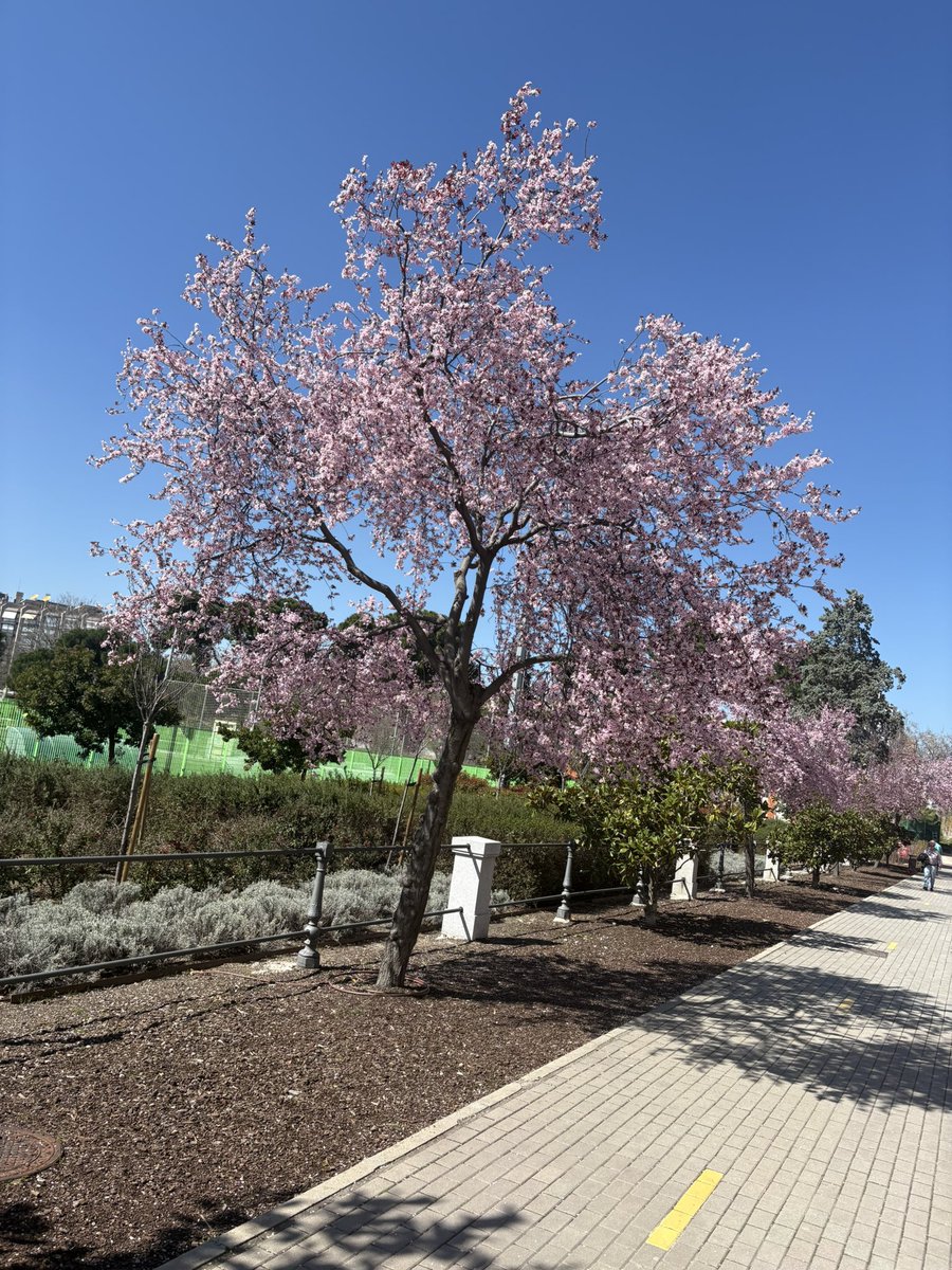 ALASTAIR CAMPBELL tweet media