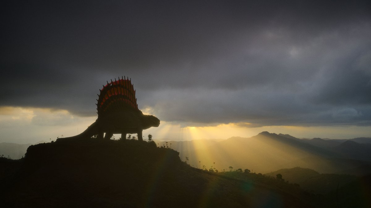 NBC Entertainment tweet media