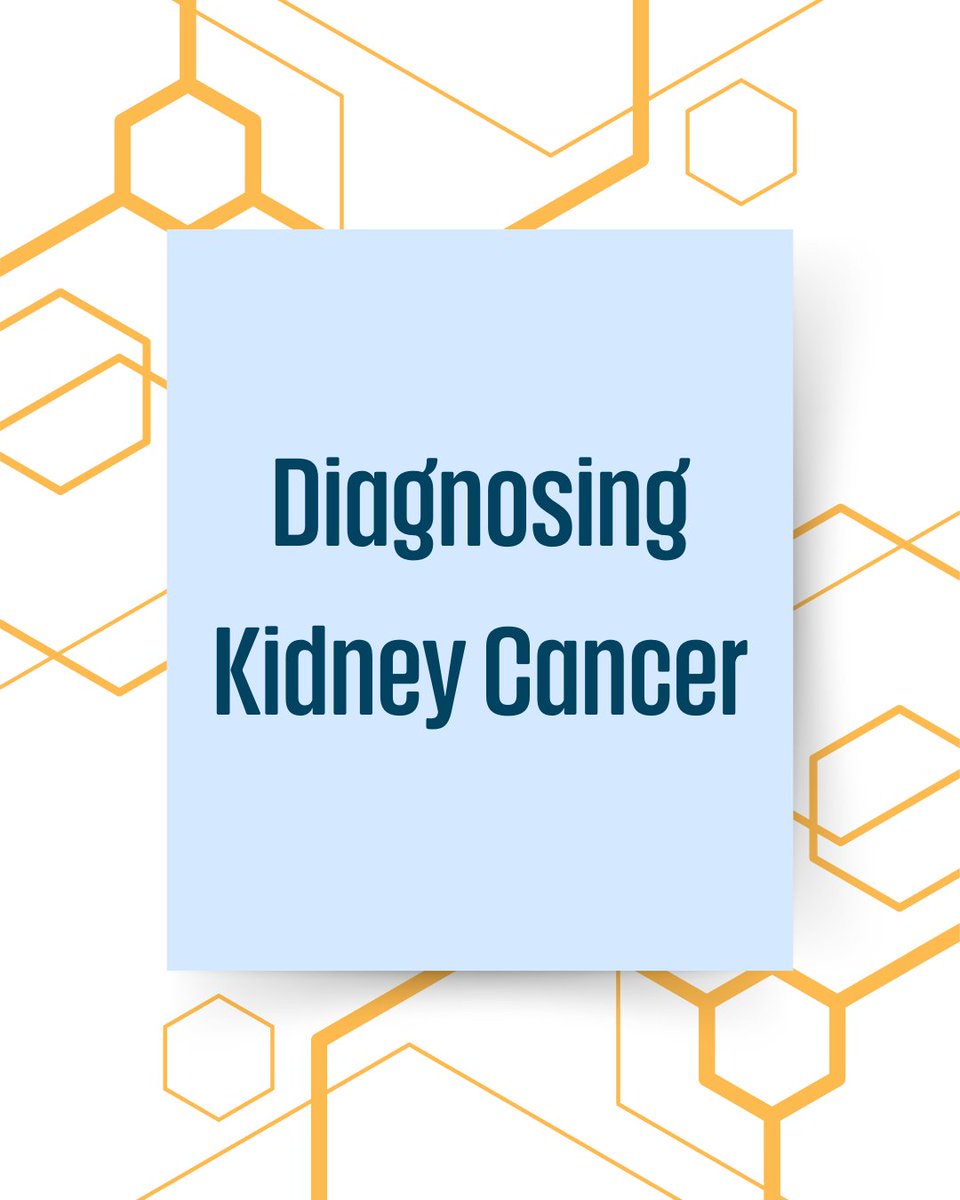 KidneyCAN tweet media
