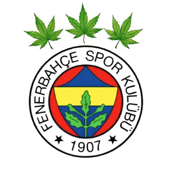 - Her sene Galatasaray'ın şampiyon olması için çalışırlar 
- Galatasaray'a Süper Kupa hediye eder
- 2010-11 sezonunda şike yapar
- Oyuncuları kendilerine doping yapıldığını itiraf eder
- Başkanlarının uyuşturucu testi POZİTİF çıkar

Karşınızda, GS'nin arka bahçesi @fenerbahce