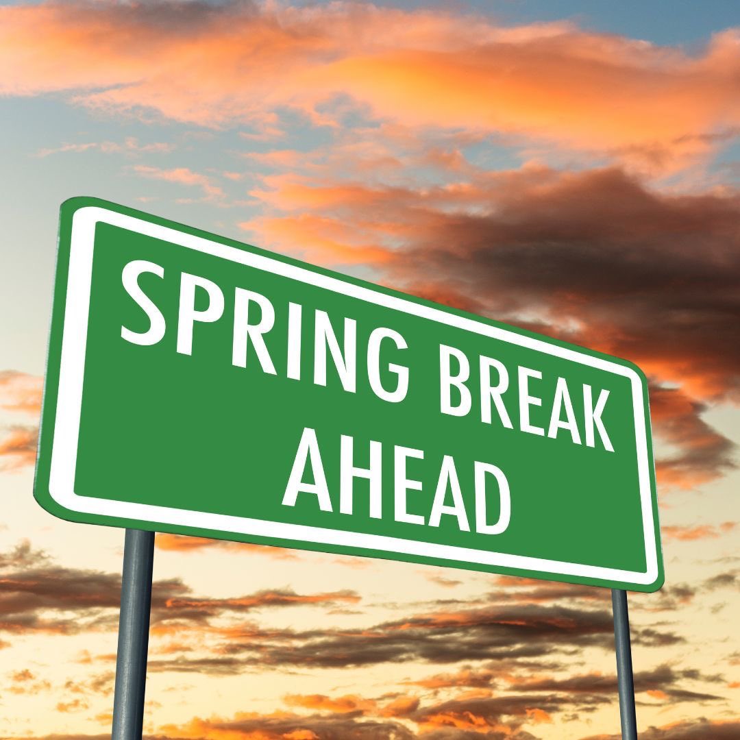 Sycamore Girl tweet media