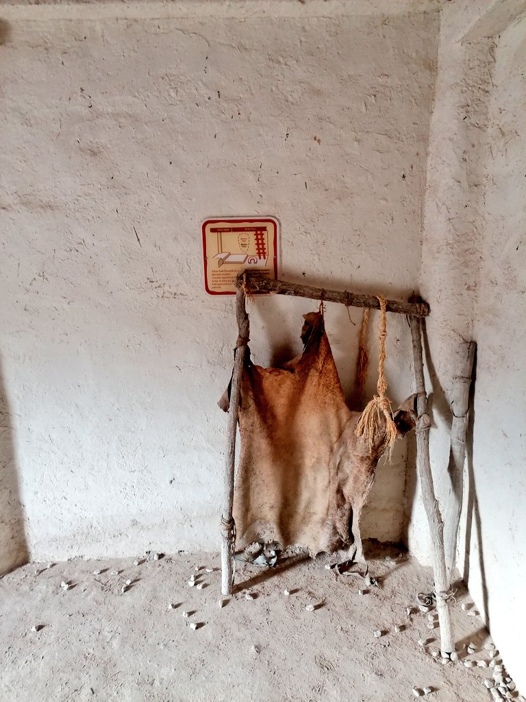 Verimay🍁 tweet media