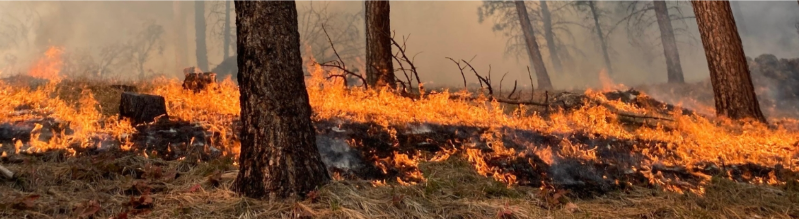 SRfirescience's tweet photo. SO MUCH cool stuff in this issue: Job announcement, new tools for land management, beaver workshop.
PLUS: Colorado Wildland Fire Conference updates and more! - https://t.co/7i2Q0RASqO https://t.co/CIpHDZvHbB
