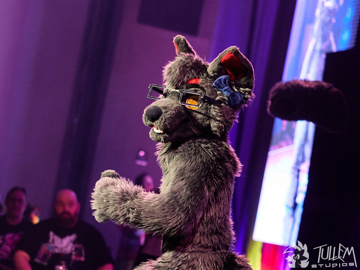 Solitar The Wolf 🔜 LVFC tweet media