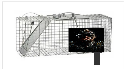 🗡️ pin 💘 tweet media