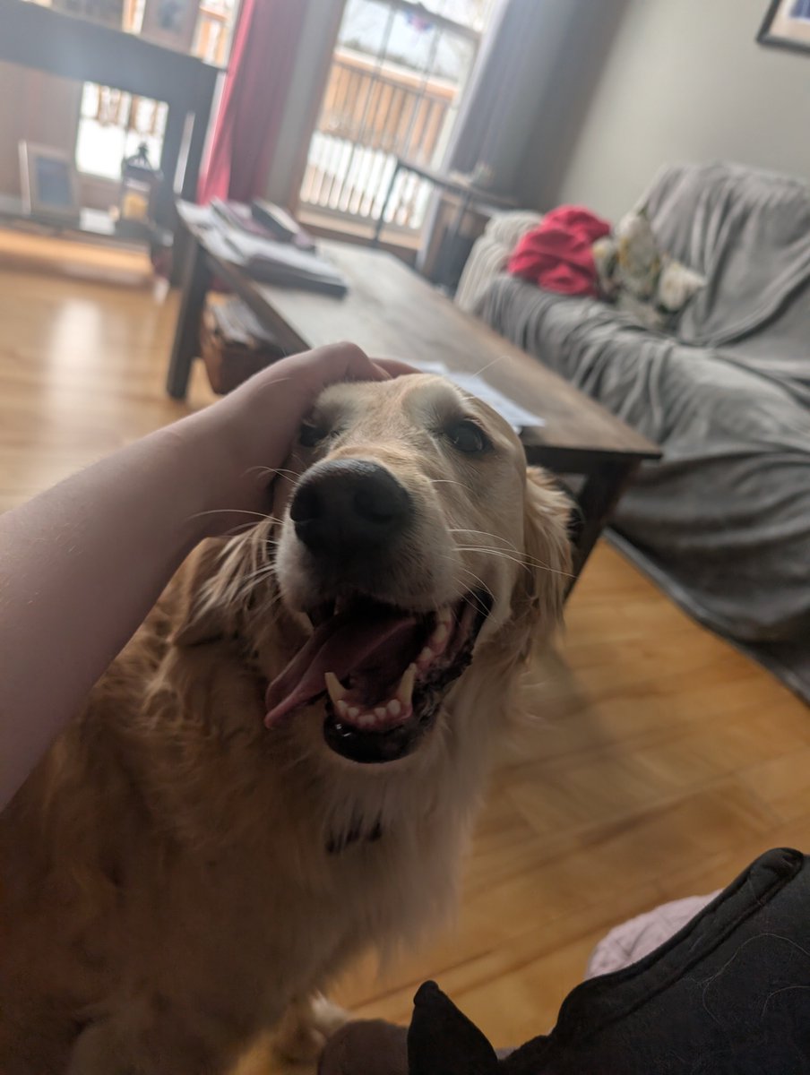 slugbread 💜 tweet media