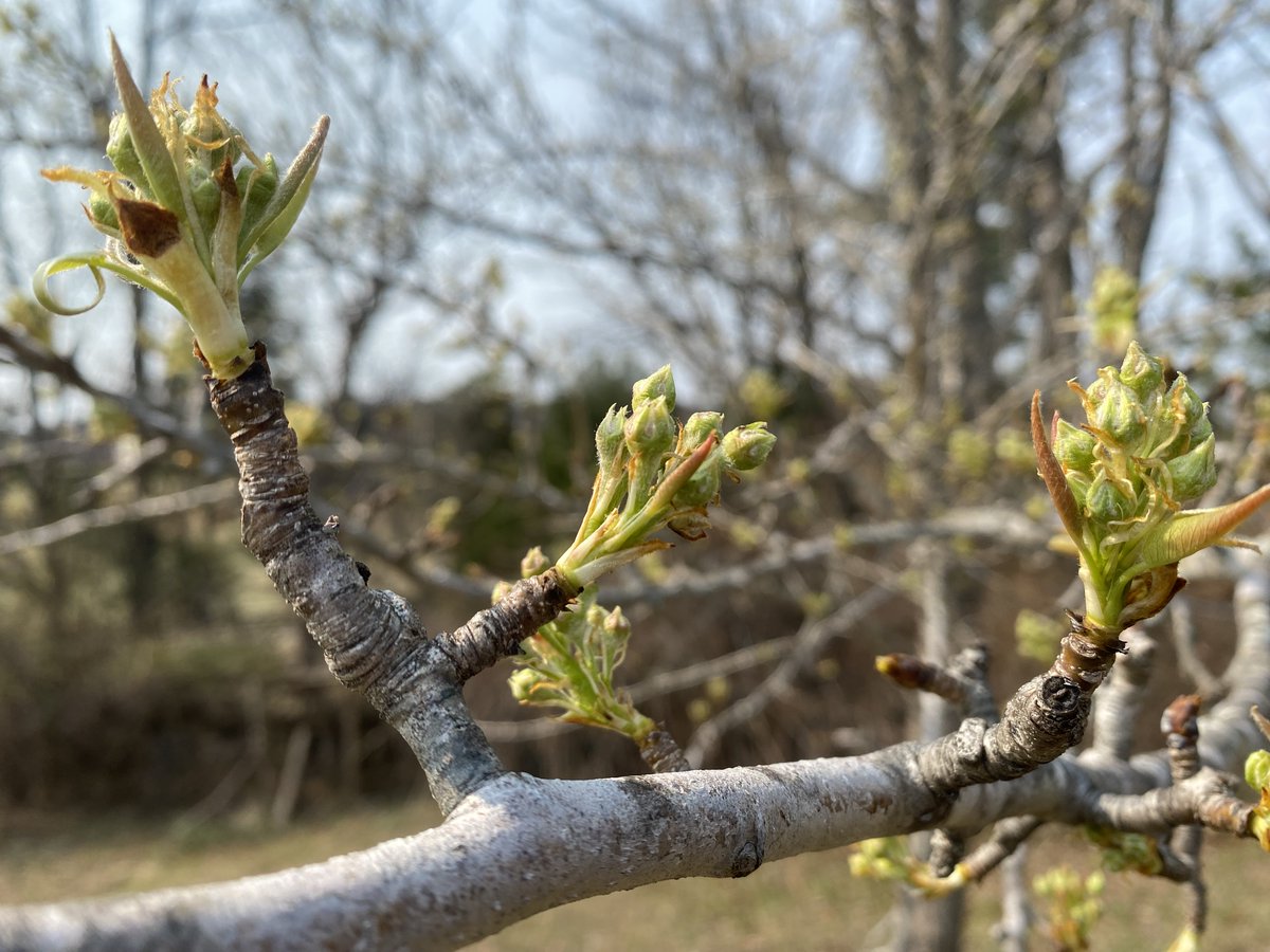 Jeffrey T. Riddle tweet media